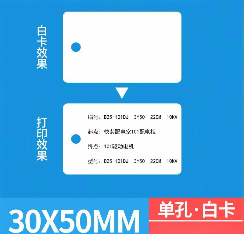 海斯迪克 HKL-265 电缆挂牌 电缆吊牌电力阀门植物PVC标牌 30×50mm 单孔空白 100张
