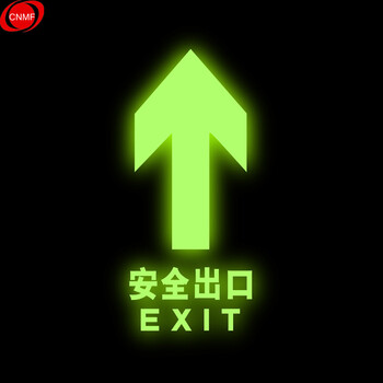 谋福 810 地理式钢化双层玻璃地砖 安全出口夜光疏散指示牌 自发光标志牌 玻璃地砖 直行（荧光字） 8088770