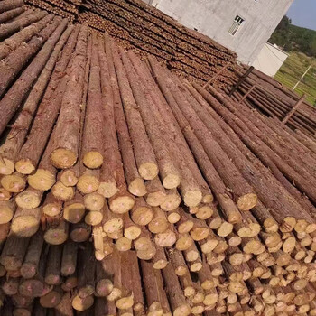 谋福 杉木桩河道驳岸打桩木防汛木桩护坡护堤工程木桩柳杉香杉林场（大头直径10公分*长度150公分） 100138890436