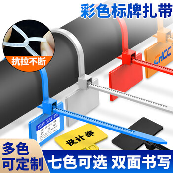 谋福 标签扎带 标牌式尼龙自锁扎带 彩色网线记号牌（3*100mm黑色500条） 100122067186