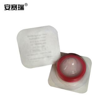 安赛瑞 针头过滤器 一次性针式过滤器 针头 针式 滤膜 过滤头 灭菌 PTFE 13mm×0.22um 10个 （包） 601333