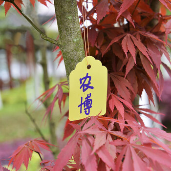 谋福 pvc防水塑料吊签园艺记号标签吊牌防水多肉标签（7x5cm 黄色1000张） 100067326737