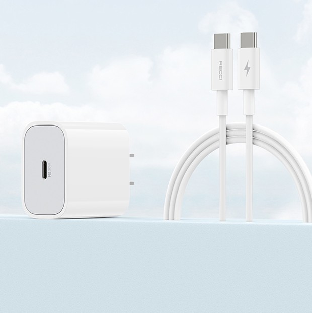 锐思/RECCI RCK-21CC 30W快速充电器套装