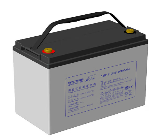 理士 UPS蓄电池 质保期3年，更换安装调试16个蓄电池（DJM12100S(12V100Ah,20hr)